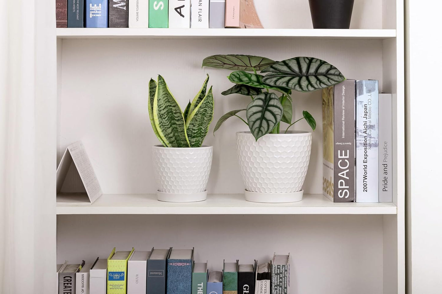 Docrin 3-Pack Ceramic Planters Set - 6.5"+5.3"+4" Dual-Tone Flower Pots with Drainage Holes, Modern Indoor Outdoor Planters for Succulents/Herbs/Large Plants, Home Office (Brownish Black & White)