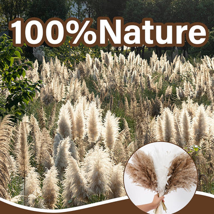50 PCS Tall Pampas Grass for Floor Vase – 17" Natural Fluffy Dried Pampas Grass Stems, Large 20 White & 30 Brown Pоmpas Grass, Boho Pampas for Wedding, Home Decor, Halloween, Christmas