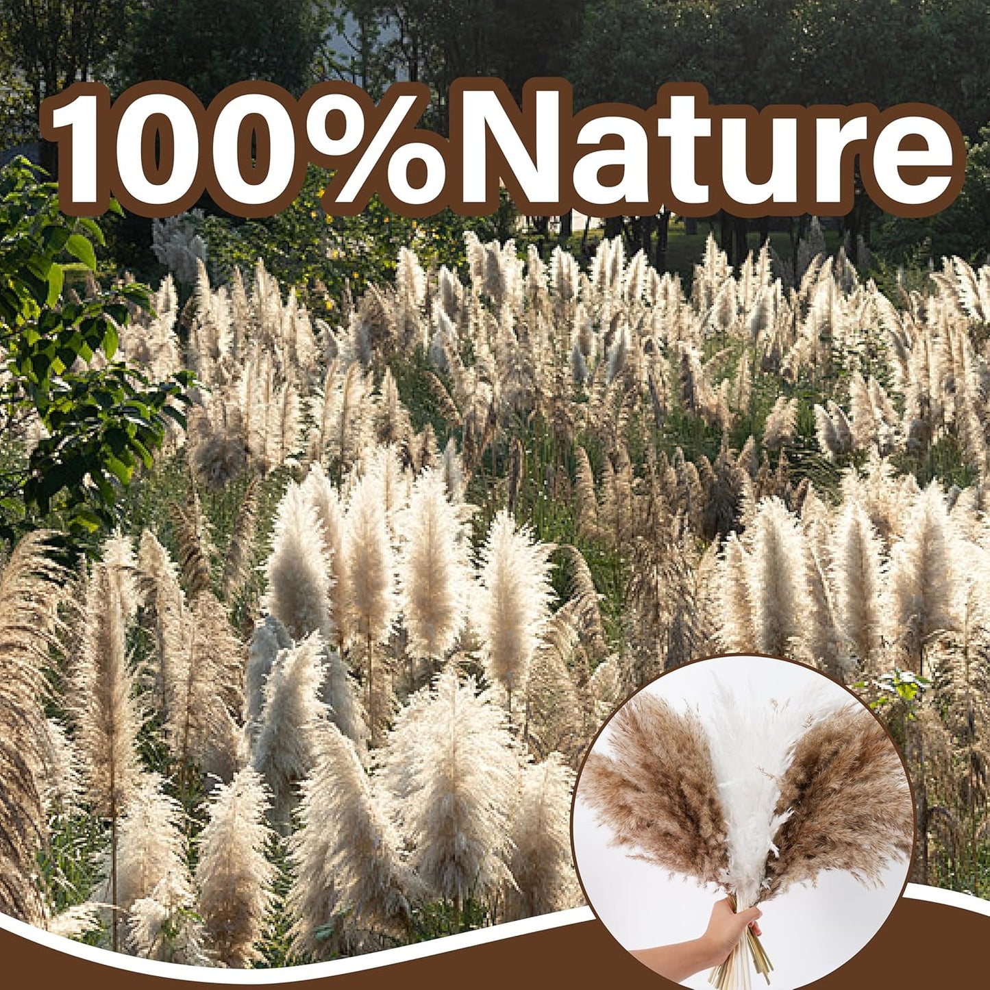 40 PCS Tall Pampas Grass for Floor Vase – 17" Natural Fluffy Dried Pampas Grass Stems, Large 20 White & 20 Brown Pоmpas Grass, Boho Pampas for Wedding, Home Decor, Halloween, Christmas