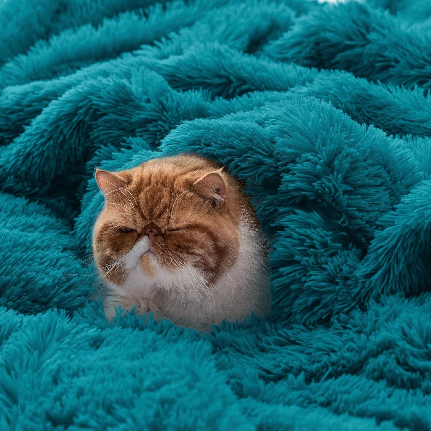 Bedsure GentleSoft Fluffy Fuzzy Faux Fur Throw Blanket for Couch, Soft Sherpa Fleece Cozy Gifts for Women, Plush Bed Blanket Room Decor for Men, Thick Warm Minky Teen Gifts Winter Bedding