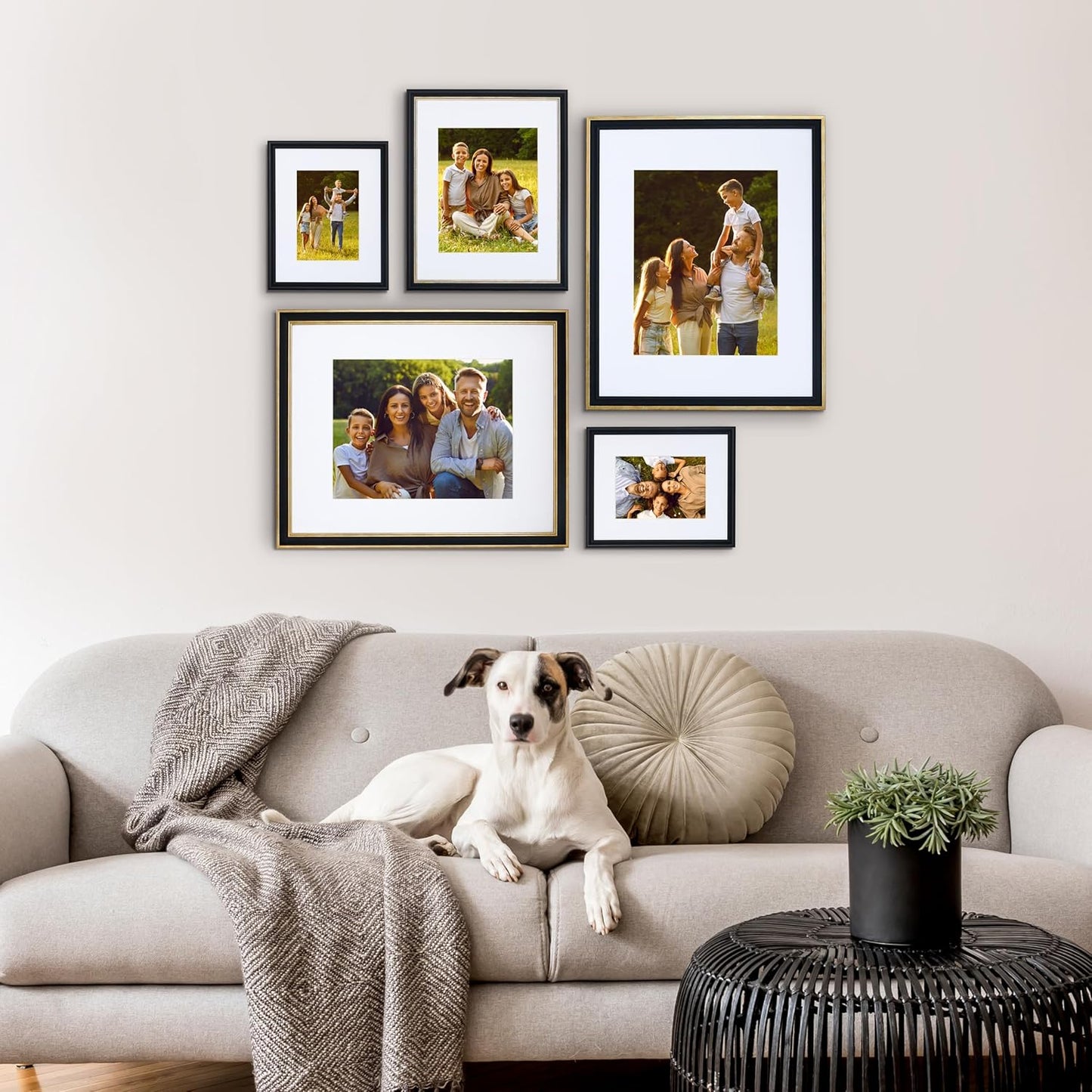 Camden Reed Mixed Gallery Wall Frame Set, (2) 16x20 Inch, (1) 11x14 Inch, and (2) 8x10 Inch, 9 Piece, Brass