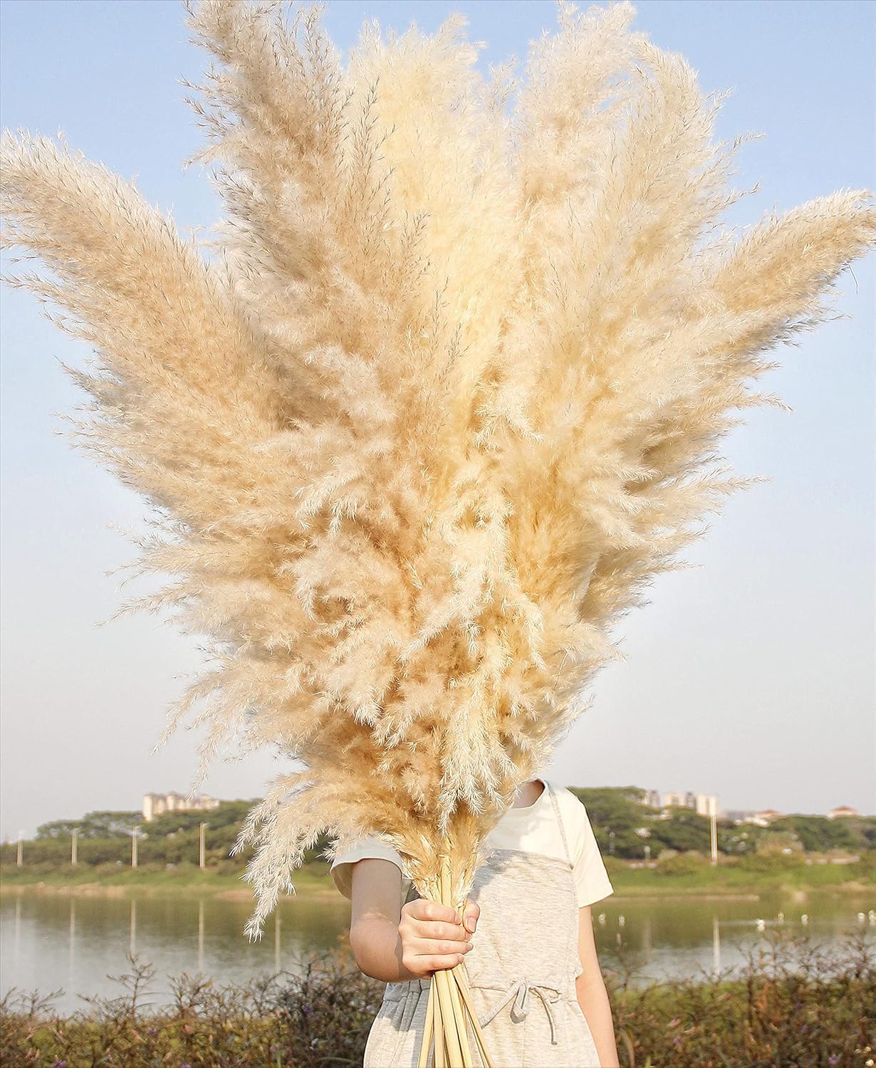 10 PCS Beige Pampas Grass Decor, Naturally Dried Pompas, Bunny Tails Dried Flowers, and Dried Eucalyptus. Perfect for Weddings, Boho Party Decorations, and Table Decor(17inch)