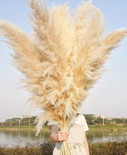 10 PCS Beige Pampas Grass Decor, Naturally Dried Pompas, Bunny Tails Dried Flowers, and Dried Eucalyptus. Perfect for Weddings, Boho Party Decorations, and Table Decor(17inch)