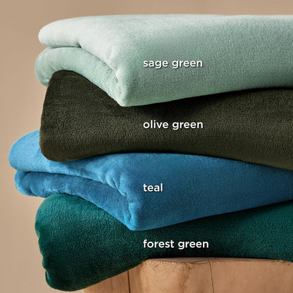 Bedsure GentleSoft Fleece Throw Blanket for Couch Grey - Lightweight Plush Fuzzy Cozy Soft Blankets and Throws for Sofa, Couch, Travel, Camping, 50x60 inches - Colors A
