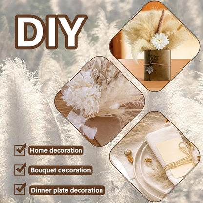 40 PCS Tall Pampas Grass for Floor Vase – 17" Natural Fluffy Dried Pampas Grass Stems, Large 20 White & 20 Brown Pоmpas Grass, Boho Pampas for Wedding, Home Decor, Halloween, Christmas