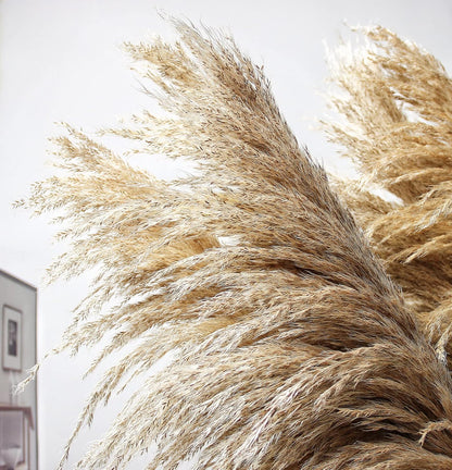 46" inch 10 Stems Natural Pampas Grass Decor Tall, Pompas Grass, Tall Pampas Grass for Weddingm, Farmhouse, Boho Home Decor (Beige)
