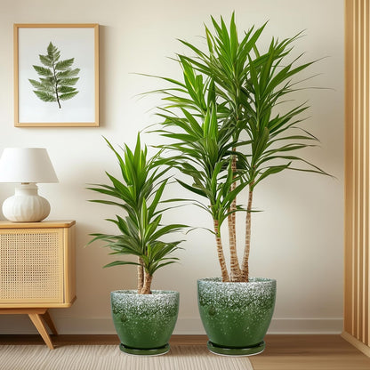 Plant Pots Indoor, Ceramic Planters Pots with Drainage Holes and Saucers, 10+8+6 Inch, Set of 3, Round Large Flower Pots for Indoor Outdoor Plants, Blue