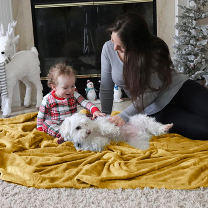 Bedsure GentleSoft Fleece Throw Blanket for Couch Grey - Lightweight Plush Fuzzy Cozy Soft Blankets and Throws for Sofa, Couch, Travel, Camping, 50x60 inches - Colors B