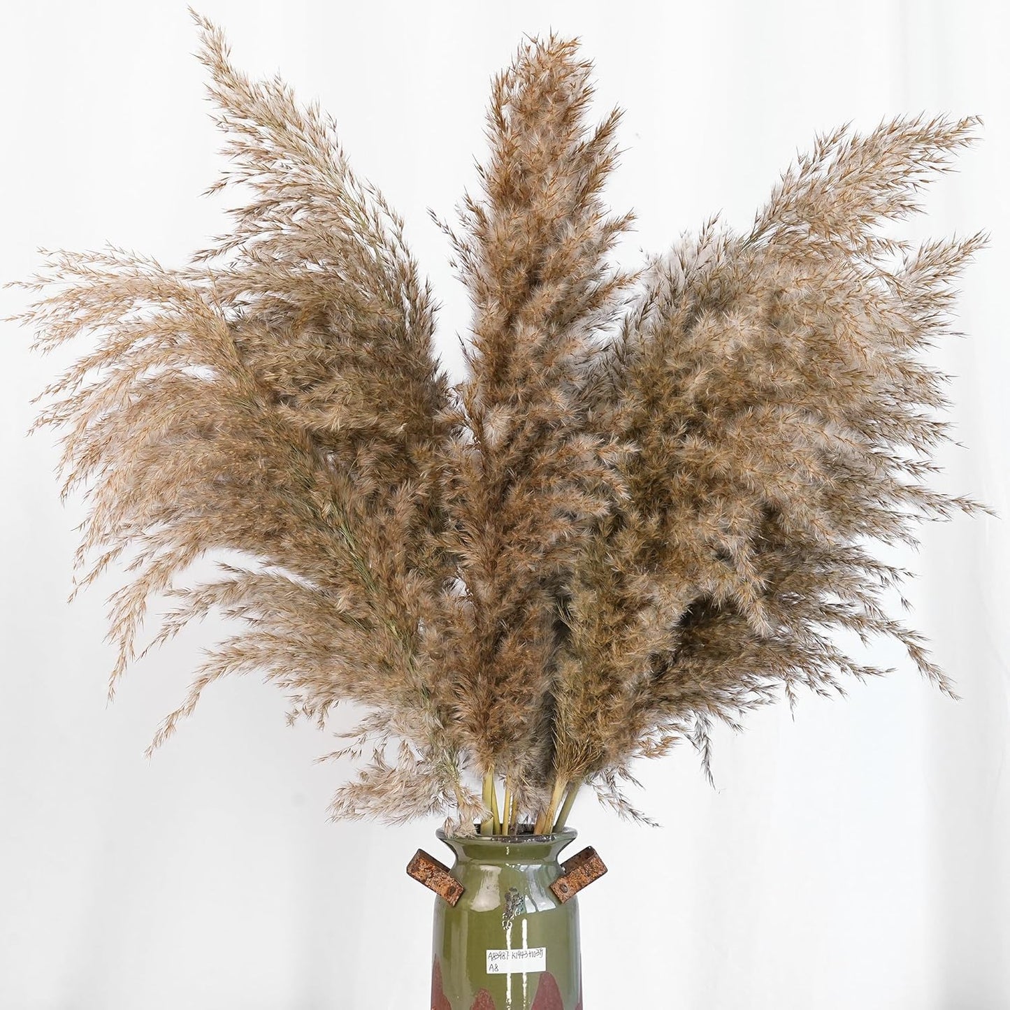Pampas Grass Decor, Natural Dry Pampas Grass Small, Short Pampass Bulk for Farmhouse, Wall, Kitchen, Bedroom Decor, Office Decor (17 inch )