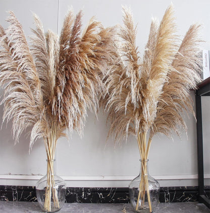 46" inch 10 Stems Natural Pampas Grass Decor Tall, Pompas Grass, Tall Pampas Grass for Weddingm, Farmhouse, Boho Home Decor (Beige)