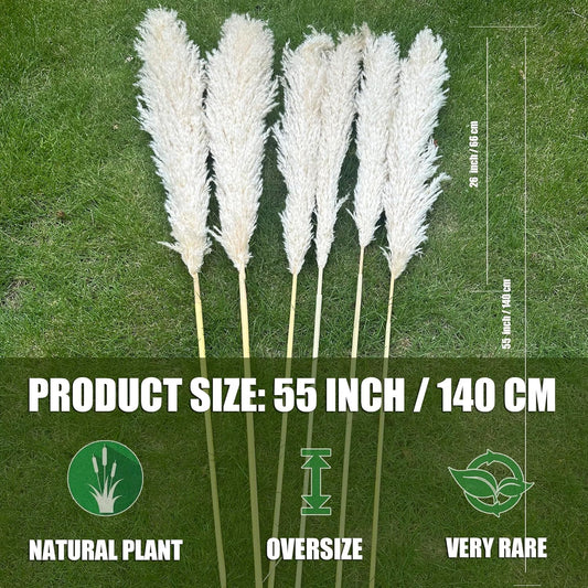 55" inch Scarcity Natural Pampas Grass Decor Tall, pompas Grass, Tall Pampas Grass for Wedding, Party, Farmhouse, Boho Home Decor