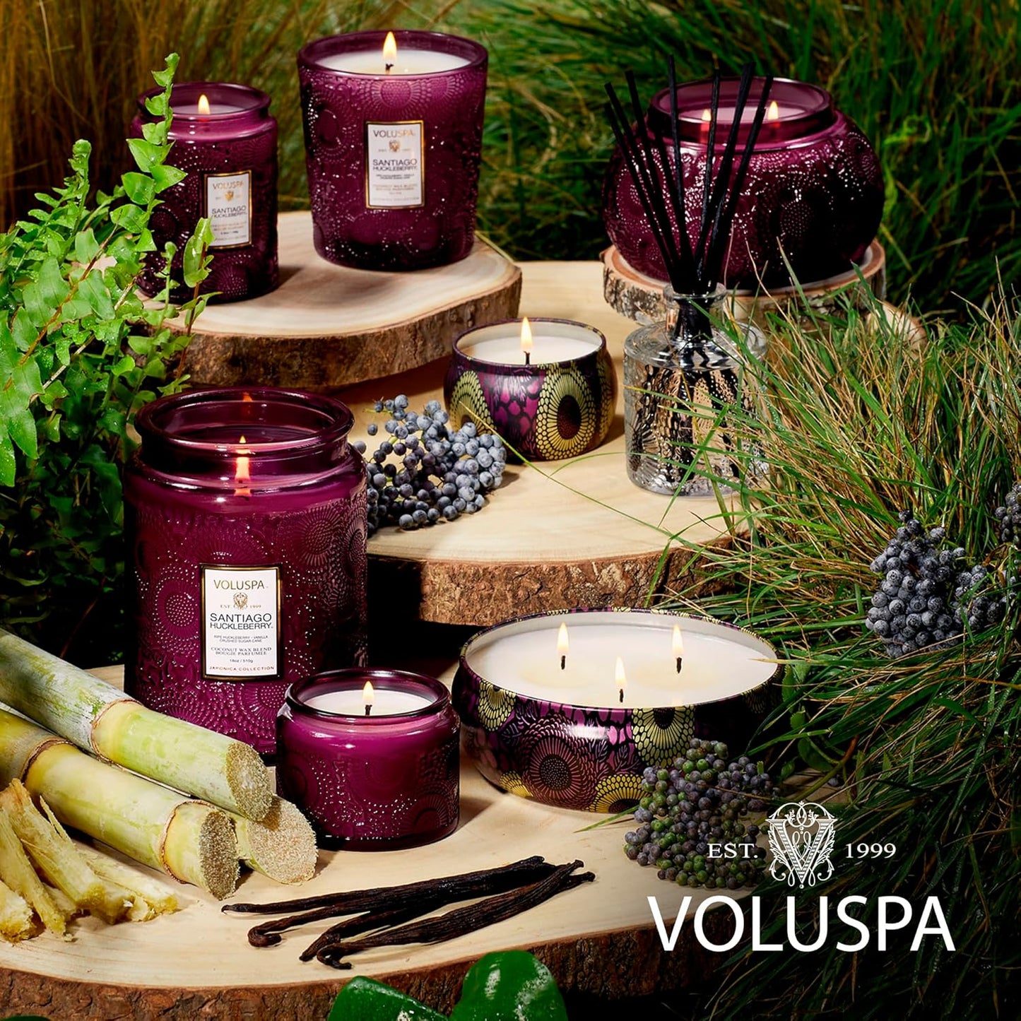Voluspa Baltic Amber Candle, 18 oz, Coconut Wax Blend, Scented Candles for Home, 100 Hour Burn Time, Candle Jar