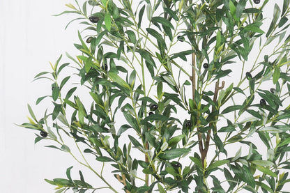 Artificial Olive Tree with White Pot,6FT high, Fake Tree containing 1440 Dense Leaves and 80 Highly Simulated Olive Fruits, Suitable for Home Office Living Room Floor Decoration
