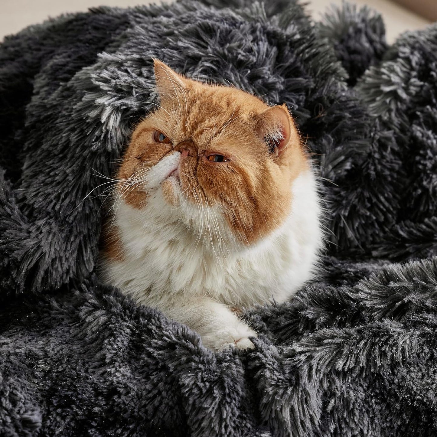 Bedsure GentleSoft Fluffy Fuzzy Faux Fur Throw Blanket for Couch, Soft Sherpa Fleece Cozy Gifts for Women, Plush Bed Blanket Room Decor for Men, Thick Warm Minky Teen Gifts Winter Bedding