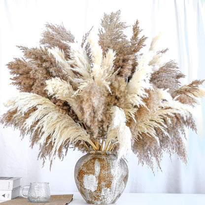 Pampas Grass Decor, Natural Dry Pampas Grass Small, Short Pampass Bulk for Farmhouse, Wall, Kitchen, Bedroom Decor, Office Decor (17 inch )