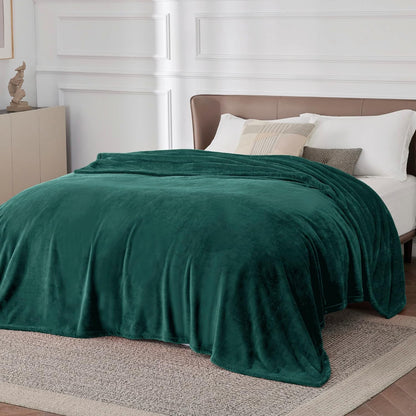 Bedsure GentleSoft Fleece Throw Blanket for Couch Grey - Lightweight Plush Fuzzy Cozy Soft Blankets and Throws for Sofa, Couch, Travel, Camping, 50x60 inches - Colors B