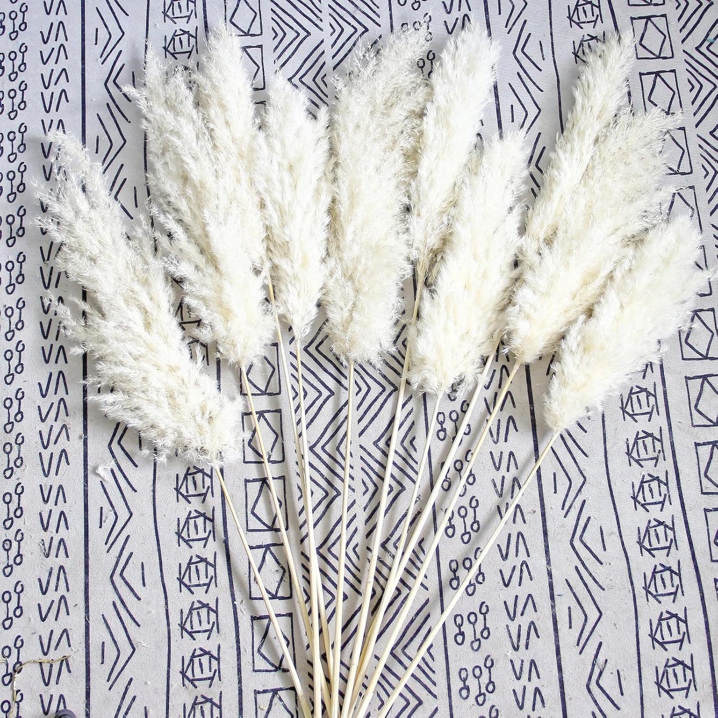 Pampas Grass Decor, Natural Dry Pampas Grass Small, Short Pampass Bulk for Farmhouse, Wall, Kitchen, Bedroom Decor, Office Decor (17 inch )
