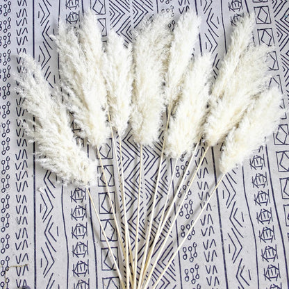 Pampas Grass Decor, Natural Dry Pampas Grass Small, Short Pampass Bulk for Farmhouse, Wall, Kitchen, Bedroom Decor, Office Decor (17 inch )