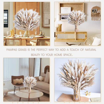 96PCS Natural Dried Pampas Grass Boho Home Decor Bouquet Phragmites Dried Flowers Bouquet for Wedding Floral Arrangements Living Room Decorations (96PCS)