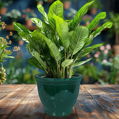 Sunnydaze Large Ceramic Plant Pot - Round Outdoor Glazed Ceramic Planter Pot with Drainage - Studio - Imperial Blue - 18.5"