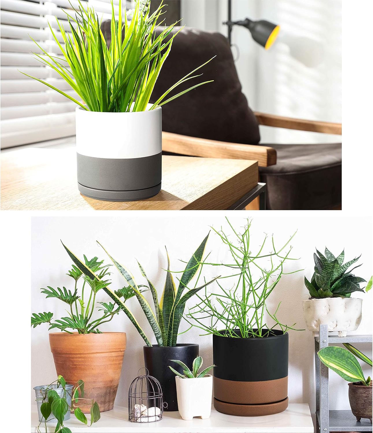 D'vine Dev Set of 2 Plants Pots, 6.5 Inch Ceramic Planter Pot for Plants with Drainage Hole and Saucer, White, 94-V-C-1