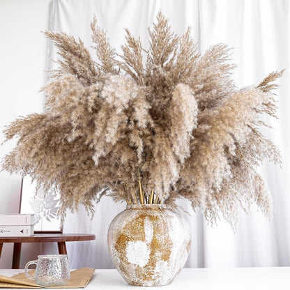 Pampas Grass Decor, Natural Dry Pampas Grass Small, Short Pampass Bulk for Farmhouse, Wall, Kitchen, Bedroom Decor, Office Decor (17 inch )