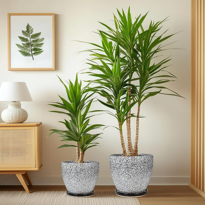 Plant Pots Indoor, Ceramic Planters Pots with Drainage Holes and Saucers, 10+8+6 Inch, Set of 3, Round Large Flower Pots for Indoor Outdoor Plants, Blue