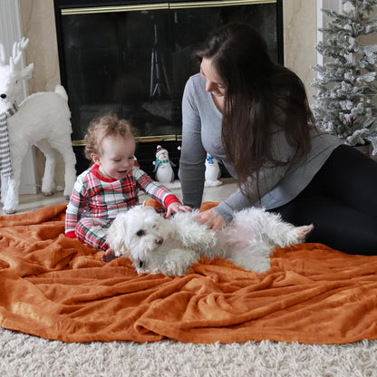 Bedsure GentleSoft Fleece Throw Blanket for Couch Grey - Lightweight Plush Fuzzy Cozy Soft Blankets and Throws for Sofa, Couch, Travel, Camping, 50x60 inches - Colors B