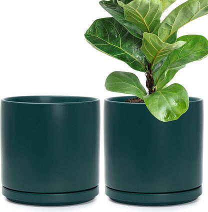 D'vine Dev Set of 2 Plants Pots, 6.5 Inch Ceramic Planter Pot for Plants with Drainage Hole and Saucer, White, 94-V-C-1