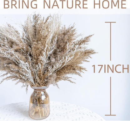 Fluffy Boho Decor Dried Grass - Dried Pampas Grass Short pompas Grass Vase Filler Dried Flowers Wedding Home Table Rustic Farmhouse Decor