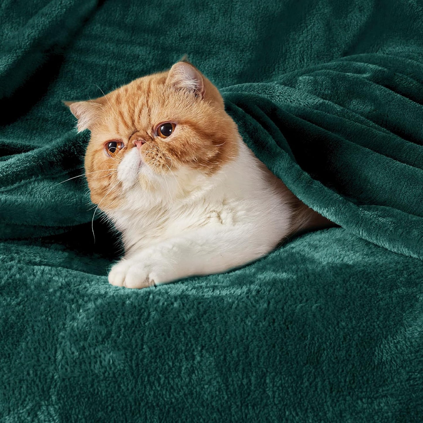 Bedsure GentleSoft Fleece Throw Blanket for Couch Grey - Lightweight Plush Fuzzy Cozy Soft Blankets and Throws for Sofa, Couch, Travel, Camping, 50x60 inches - Colors B