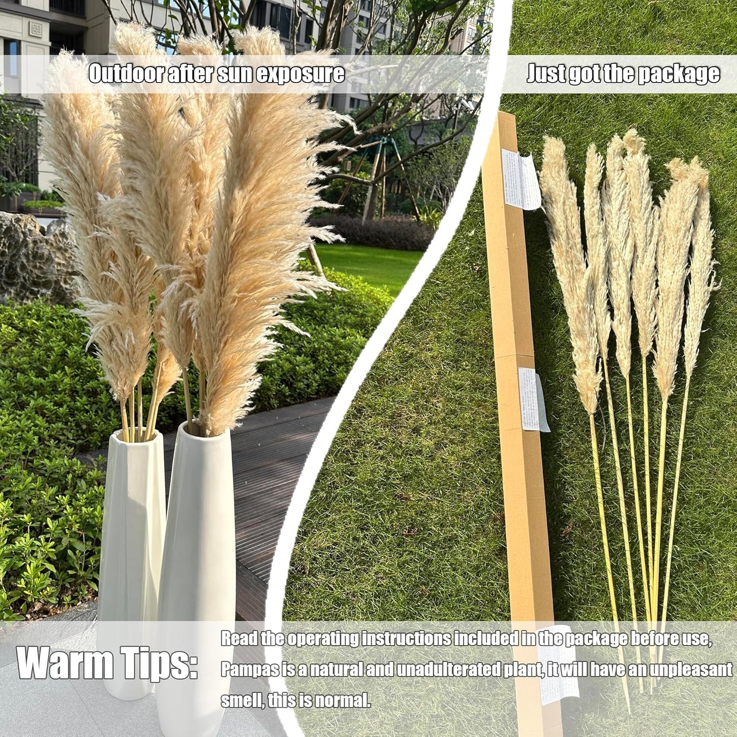 55" inch Scarcity Natural Pampas Grass Decor Tall, pompas Grass, Tall Pampas Grass for Wedding, Party, Farmhouse, Boho Home Decor