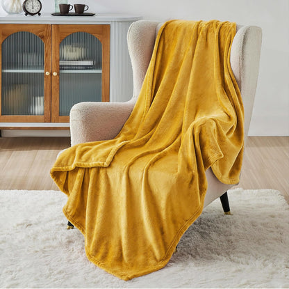 Bedsure GentleSoft Fleece Throw Blanket for Couch Grey - Lightweight Plush Fuzzy Cozy Soft Blankets and Throws for Sofa, Couch, Travel, Camping, 50x60 inches - Colors B