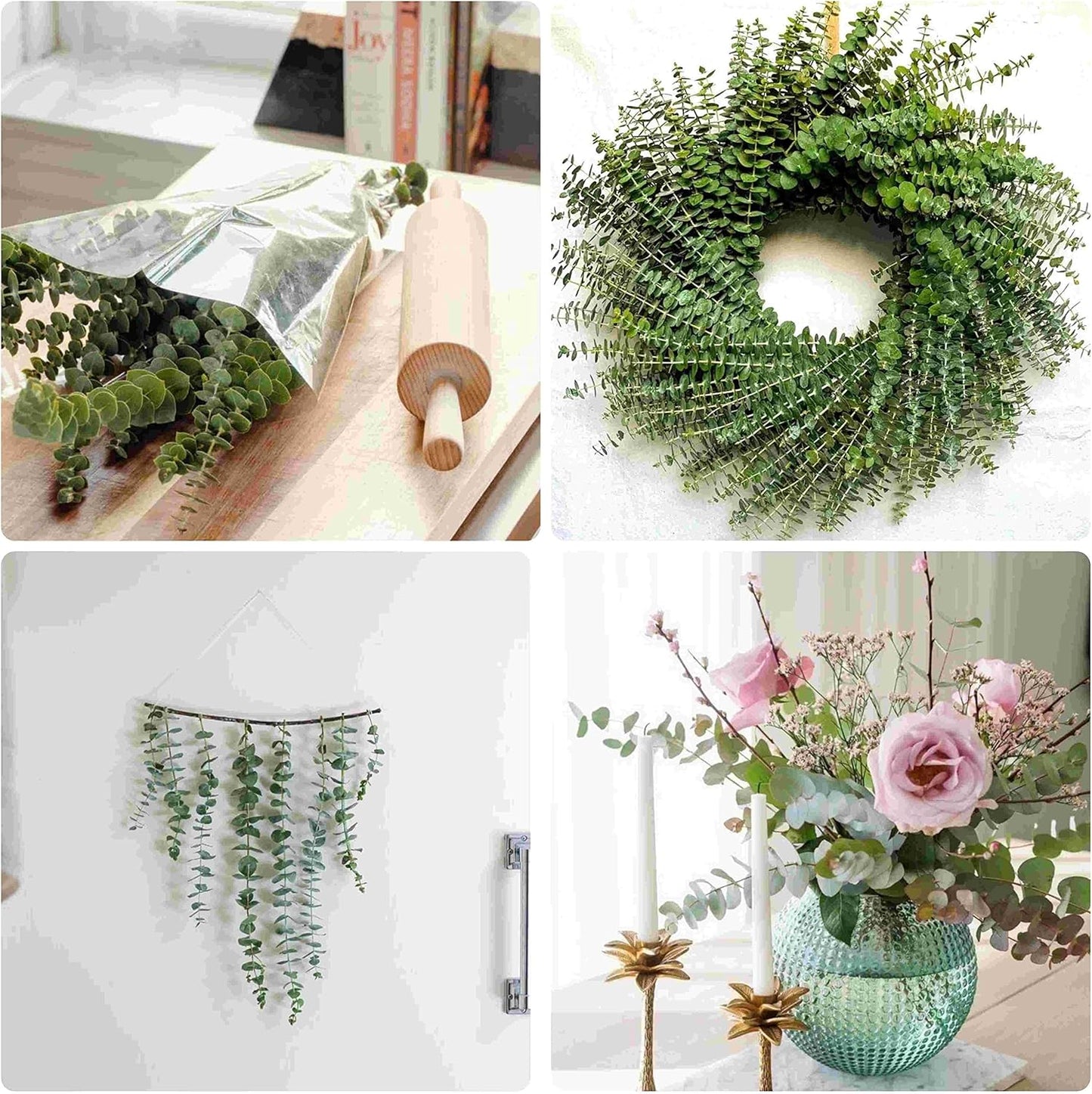 30 Pcs Dried Preserved Eucalyptus Stems Shower Bundle, 9oz 17" 100% Natural Fresh Eucalyptus Plant, Real Eucalyptus Leaves Branches for Shower Vase Filler, Dried Flowers Arrangement Home Decor