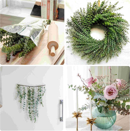 30 Pcs Dried Preserved Eucalyptus Stems Shower Bundle, 9oz 17" 100% Natural Fresh Eucalyptus Plant, Real Eucalyptus Leaves Branches for Shower Vase Filler, Dried Flowers Arrangement Home Decor
