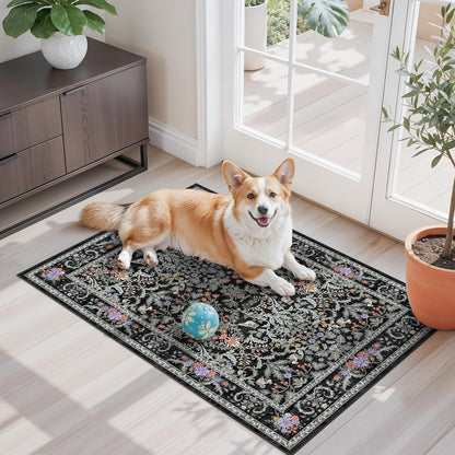 2x3 Washable Non-Slip Area Rug - Soft Low Pile Throw Rug for Kitchen Entryway Bedroom - Modern Indoor Door Mat with Rubber Backing (Beige Grey) - Colors A