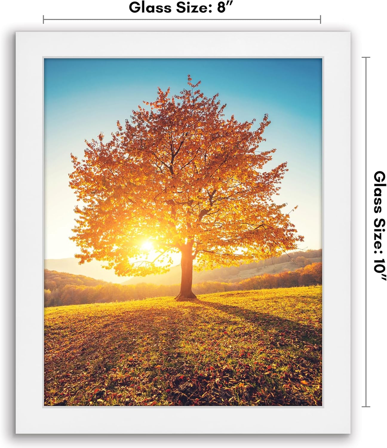Americanflat 12x18 Poster Frame with Shatter-Resistant Glass - Signature Collection - Gallery-Style Frames Made of Engineered Wood - Photo Frame for Wall Display - Black - Colors B