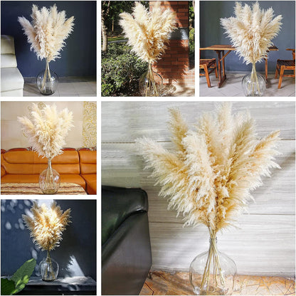 10 PCS Beige Pampas Grass Decor, Naturally Dried Pompas, Bunny Tails Dried Flowers, and Dried Eucalyptus. Perfect for Weddings, Boho Party Decorations, and Table Decor(17inch)
