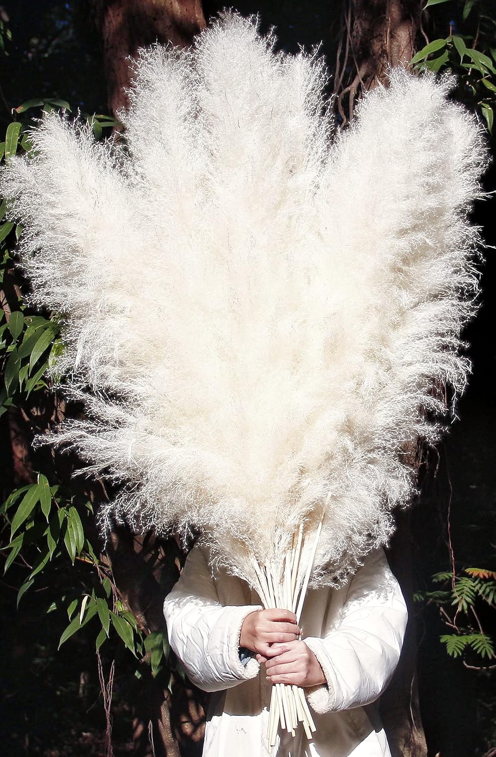46" inch 10 Stems Natural Pampas Grass Decor Tall, Pompas Grass, Tall Pampas Grass for Weddingm, Farmhouse, Boho Home Decor (Beige)