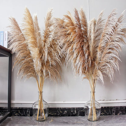 46" inch 10 Stems Natural Pampas Grass Decor Tall, Pompas Grass, Tall Pampas Grass for Weddingm, Farmhouse, Boho Home Decor (Beige)
