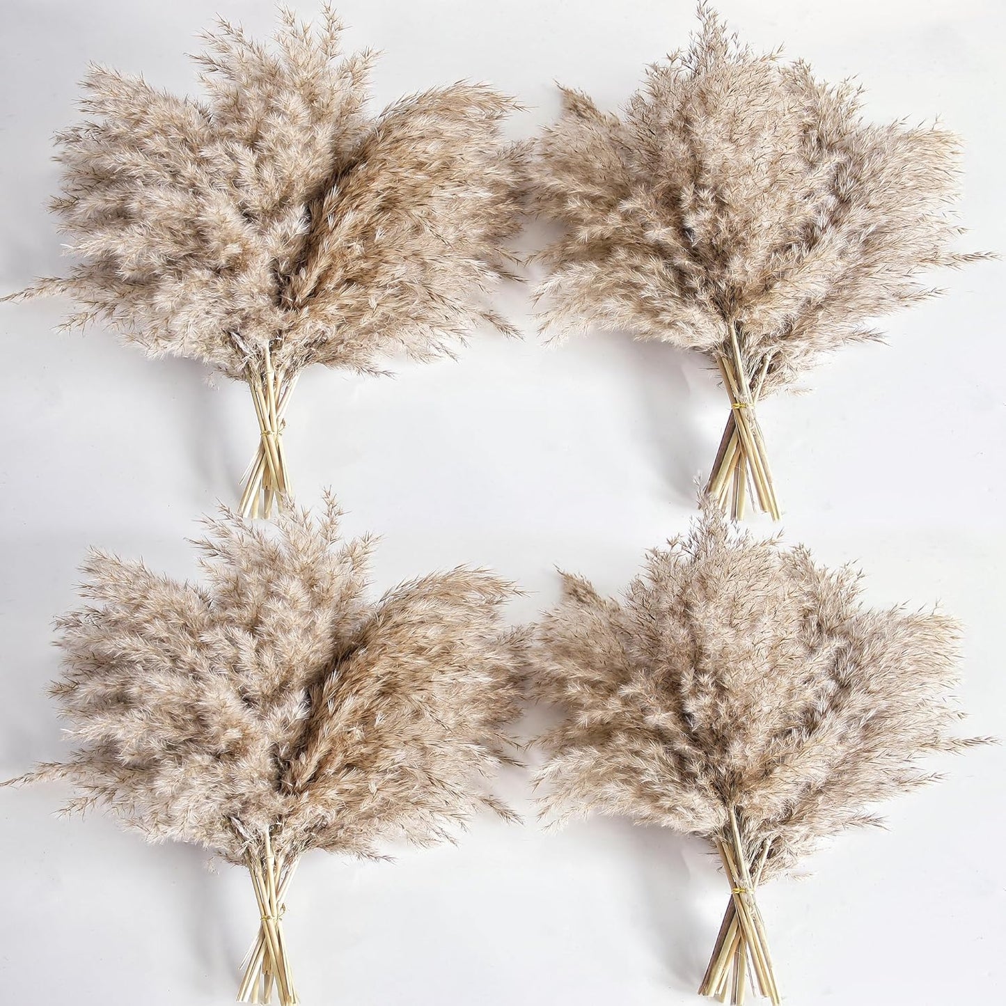 Pampas Grass Decor, Natural Dry Pampas Grass Small, Short Pampass Bulk for Farmhouse, Wall, Kitchen, Bedroom Decor, Office Decor (17 inch )