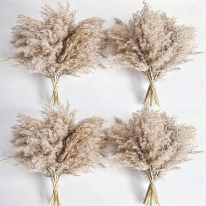 Pampas Grass Decor, Natural Dry Pampas Grass Small, Short Pampass Bulk for Farmhouse, Wall, Kitchen, Bedroom Decor, Office Decor (17 inch )