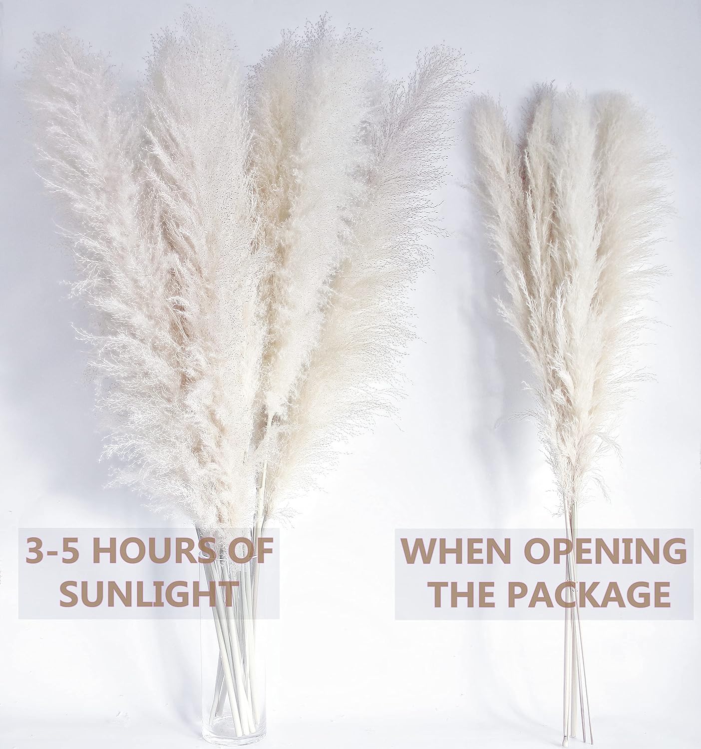 46" inch 10 Stems Natural Pampas Grass Decor Tall, Pompas Grass, Tall Pampas Grass for Weddingm, Farmhouse, Boho Home Decor (Beige)