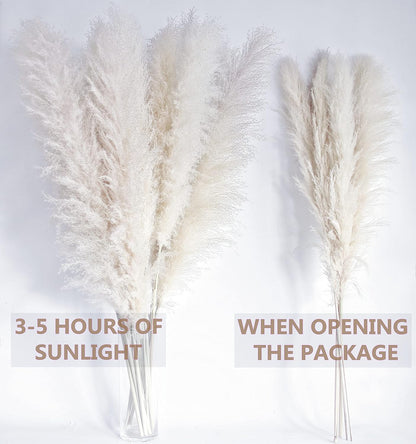 46" inch 10 Stems Natural Pampas Grass Decor Tall, Pompas Grass, Tall Pampas Grass for Weddingm, Farmhouse, Boho Home Decor (Beige)