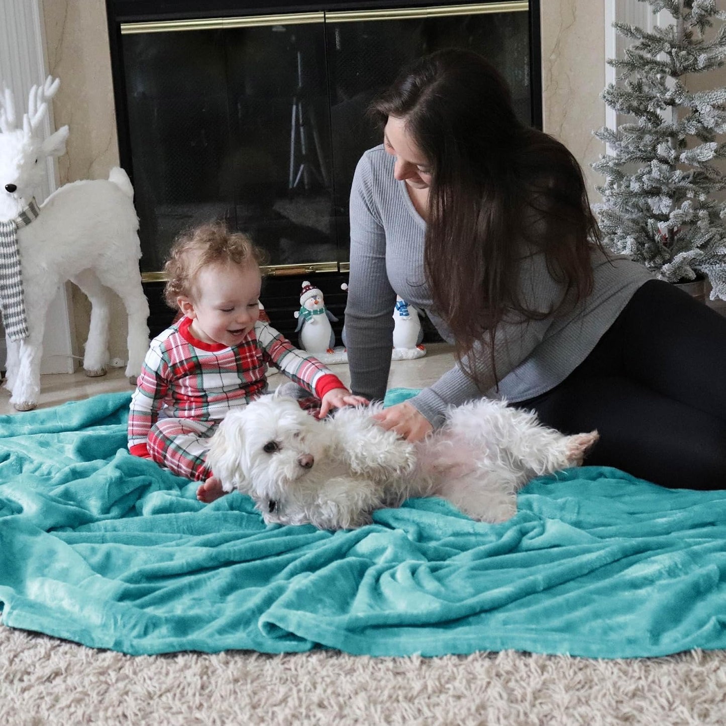 Bedsure GentleSoft Fleece Throw Blanket for Couch Grey - Lightweight Plush Fuzzy Cozy Soft Blankets and Throws for Sofa, Couch, Travel, Camping, 50x60 inches - Colors A