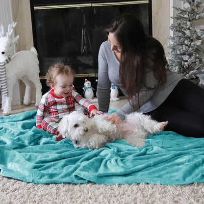 Bedsure GentleSoft Fleece Throw Blanket for Couch Grey - Lightweight Plush Fuzzy Cozy Soft Blankets and Throws for Sofa, Couch, Travel, Camping, 50x60 inches - Colors A