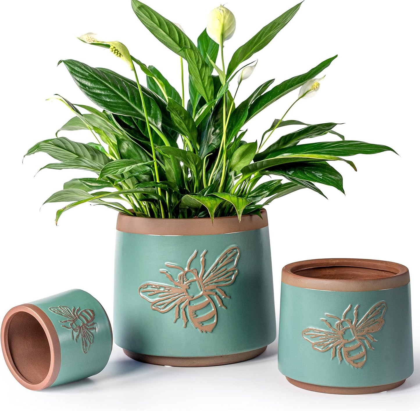 YBX 8 Inch + 6 Inch Ceramic Plant Pots, Succulent Flower Pots with Drainage Holes, Terracotta Planters for Indoor Plants, White&Terracotta (Garden)