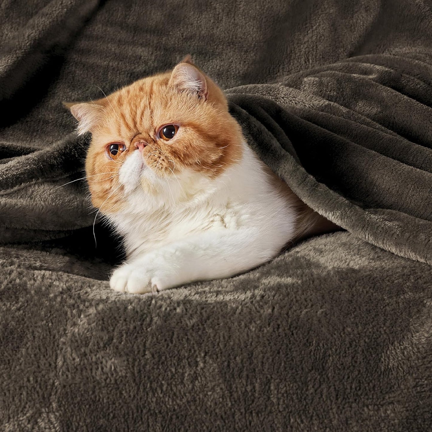 Bedsure GentleSoft Fleece Throw Blanket for Couch Grey - Lightweight Plush Fuzzy Cozy Soft Blankets and Throws for Sofa, Couch, Travel, Camping, 50x60 inches - Colors A