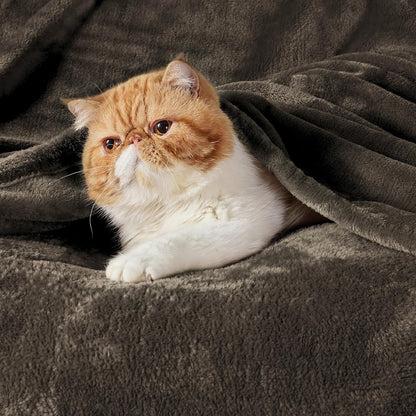 Bedsure GentleSoft Fleece Throw Blanket for Couch Grey - Lightweight Plush Fuzzy Cozy Soft Blankets and Throws for Sofa, Couch, Travel, Camping, 50x60 inches - Colors A