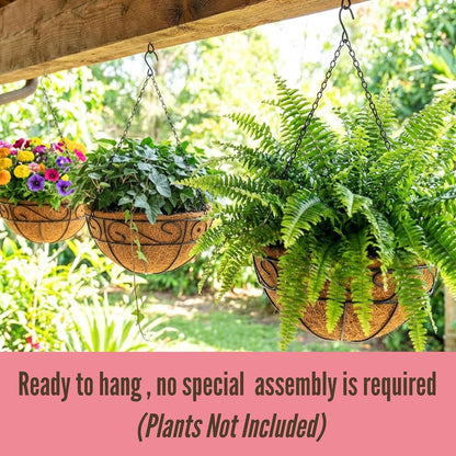 LaLaGreen Hanging Planter for Outdoor Plants (12 Inch, 2 Pack) Hanging Baskets with Coco Liner, Black Metal Wire Flower Basket Pots with Hook Hanger Balcony Porch Farmhouse Country Style Garden Decor